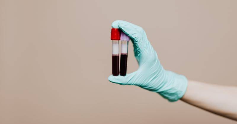 Pexels/Karolina Grabowska